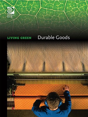 cover image of Durable Goods